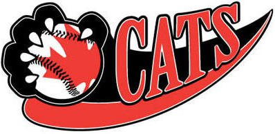 Thunder Bay Border Cats 2003-Pres Alternate Logo iron on transfers for T-shirts